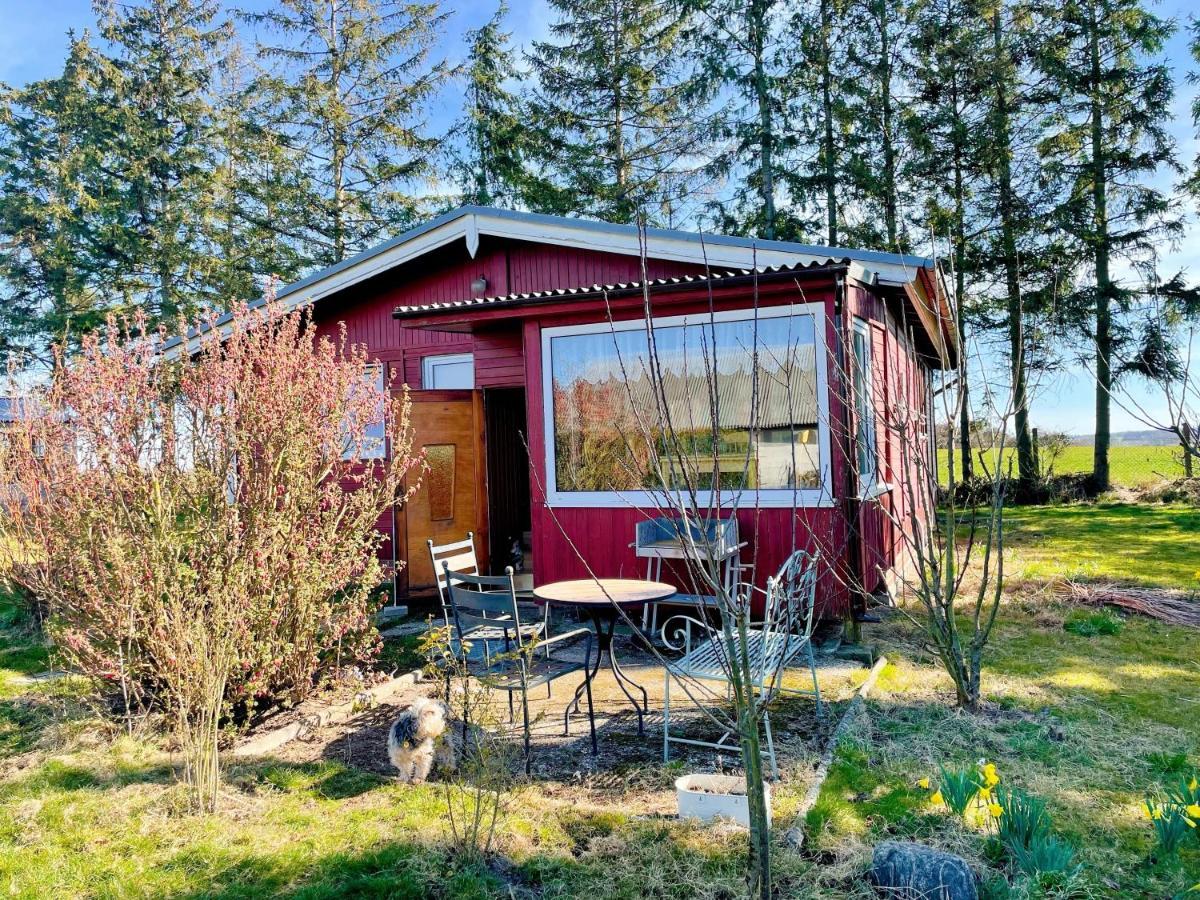 Landhaus Mit Pool, Bungalow In Der Natur Hohenbollentin Exterior foto