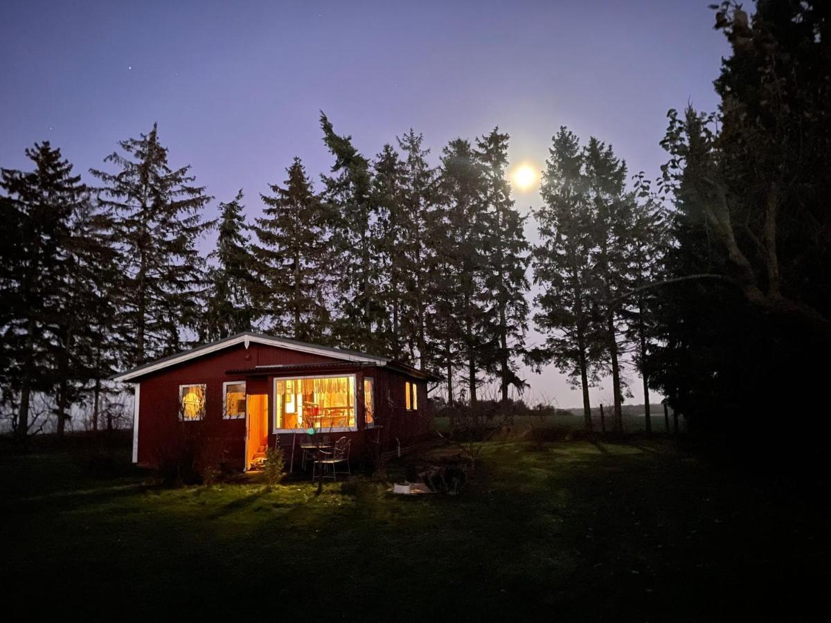 Landhaus Mit Pool, Bungalow In Der Natur Hohenbollentin Exterior foto